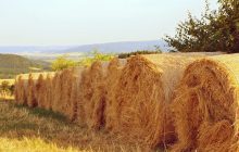 Классический август: синоптик рассказала, где завтра пригреет солнышко, а где пойдет дождь