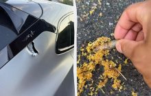 Російський обстріл наздогнав олімпійського чемпіона: нардеп Беленюк показав наслідки