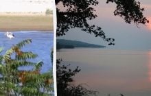 Настоящая неожиданность: на месте Каховского водохранилища поселились редкие птицы (видео)