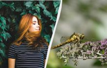 В Украине нужно поздравить родных с двумя праздниками: что отмечаем 16 июля 2025