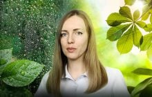 Спека цього тижня Україну ще не відпустить: деталі від Гідрометцентру