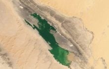 Пустыня Сахара начала "зеленеть": NASA наблюдает за загадочным явлением