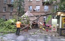 Поваленные деревья и поврежденные авто: в Одессе шторм натворил беды
