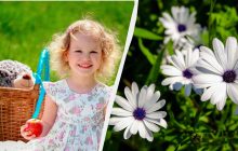 Какое блюдо нужно готовить сегодня: что нужно знать про праздник 31 июля 2025