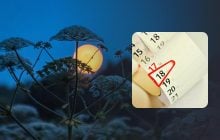Три удачных дня под занавес июля 2025: что советует лунный календарь
