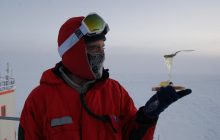 "Як інша планета": француз прожив рік в Антарктиді і розповів, що його найбільше вразило