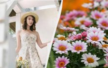 В Украине отменили один праздник 2 августа 2025 и ввели новый: что отмечаем