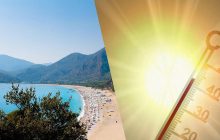 Средиземноморская жара влияет на состояние морских обитателей: ученые бьют тревогу