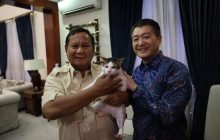 В Індонезії розгорівся скандал навколо кота президента, який отримав державну охорону