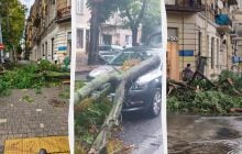 В Одессе из-за ливня и шквалистого ветра упали десятки деревьев (фото, видео)