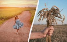 Поздравляют связистов и балуют кошек: что за праздник отмечают 8 августа 2025