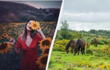 Почему сегодня - опасный день: верования и обычаи в праздник 9 августа 2025