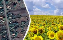 Меньше километра до границы с Молдовой: где находится село Олег и как добраться