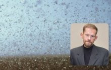 Есть ли угроза нашествия саранчи на территории Киевщины: биолог оценил ситуацию