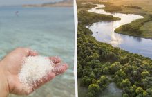 Почему вода в океане солёная, а в озёрах и реках - нет: ответ вас может удивить