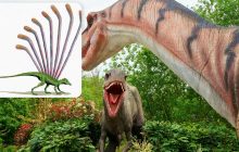 Ученые обнаружили останки "удивительной" рептилии, которая существовала еще до динозавров