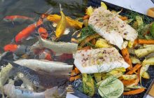 Опытный шеф-повар назвал 9 видов рыбы, которые он не советует покупать, и вот почему