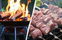 На каких дровах жарить шашлык, чтобы мясо было сочным и ароматным: главный секрет
