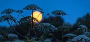 Лунный календарь на июнь 2026: что принесет Клубничная Луна и ретроградный Меркурий
