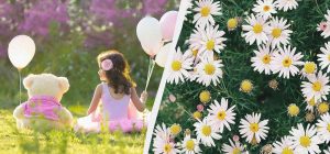 Украина празднует несколько важных праздников: что сделать 1 августа 2025