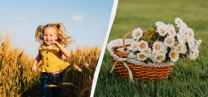 Почему сегодня нужно есть ягоды: обязательный обычай в праздник 4 августа 2025