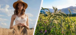 Сегодня можно помолиться о военных: что надо знать про праздник 5 августа 2025