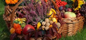 На Ореховый Спас святят не только орехи: что ещё обязательно положить в корзину