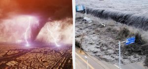 Жуткое предсказание "новой Ванги" сново сбылось: в чем была суть ее пророчества