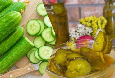 Домашні огірки як у Макдональдсі: три прості рецепти