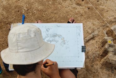 У Китаї археологи знайшли дерев'яні інструменти, яким понад 300 000 років