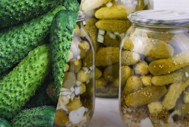 Прості огірки на зиму з гірчицею без стерилізації: швидко і смачно
