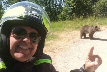 У Румунії на популярному гірському маршруті ведмідь роздер туриста після селфі з ним