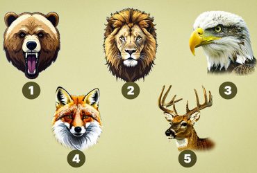 Яку тварину обирають усі одинаки: цей тест розкриє правду про характер