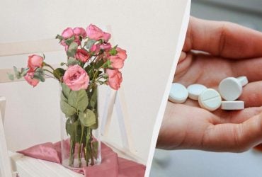 Букет роз стоит 2 недели и не вянет: нужно добавить в вазу две таблетки из аптечки