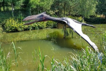 У США вчені відкрили новий вид ранніх птерозаврів, які жили 209 мільйонів років тому