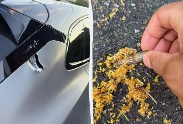 Російський обстріл наздогнав олімпійського чемпіона: нардеп Беленюк показав наслідки