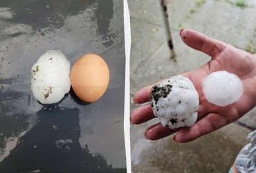 На Київщині випав град розміром з куряче яйце (фото, відео)