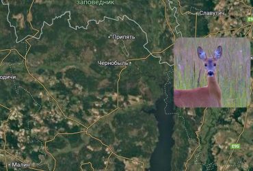 У зоні Чорнобиль зробив смішну фотографію Сарнії