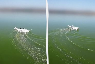 Такого ще не було: в Туреччині створили унікальний дрон-екраноплан