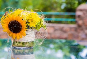 9 августа Украину разогреет до +34° (карта)