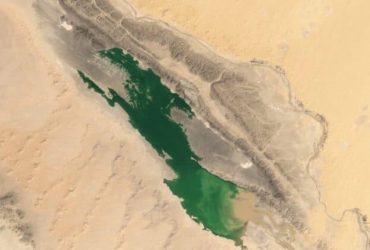 Пустеля Сахара почала зеленіти: NASA спостерігає за загадковим явищем