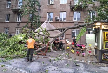 Повалені дерева та пошкоджені авто: в Одесі шторм накоїв лиха