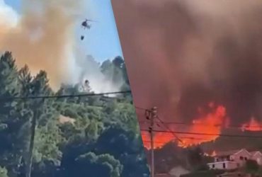 У Португалії спалахнула масштабна лісова пожежа: евакуювали десятки людей