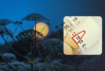 Три вдалі дні під завісу липня 2025: що радить місячний календар