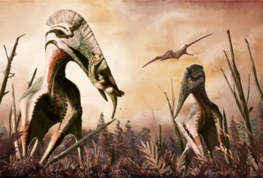 Відкриття раз на століття: вчені виявили рештки птерозавра, які розкрили давні секрети