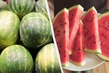 Арбузы с таким признаком покупать нельзя: они безвкусные и водянистые