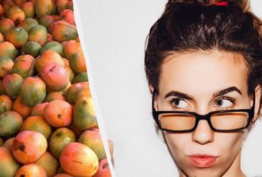 Тільки 1% геніїв знайдуть папугу на фото за 7 секунд: надзвичайна оптична ілюзія