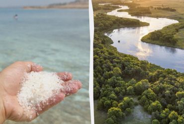 Почему вода в океане солёная, а в озёрах и реках - нет: ответ вас может удивить