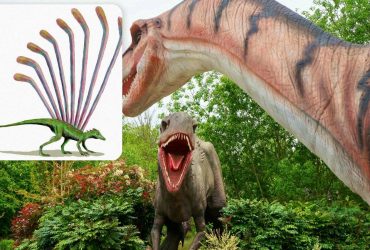 Вчені виявили рештки дивовижної рептилії, яка існувала ще до динозаврів