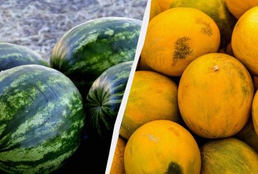 Арбузы и дыни будут, как херсонские: чем подкормить в конце июля - начале августа